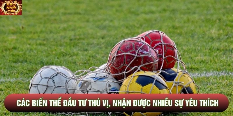 Các biến thể đầu tư thú vị, nhận được nhiều sự yêu thích hiện nay Các biến thể đầu tư thú vị, nhận được nhiều sự yêu thích hiện nay