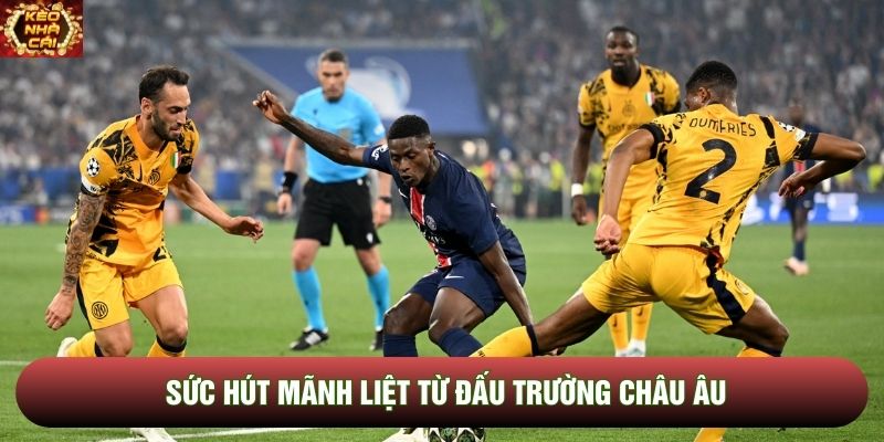 Sức hút mãnh liệt từ đấu trường châu Âu
